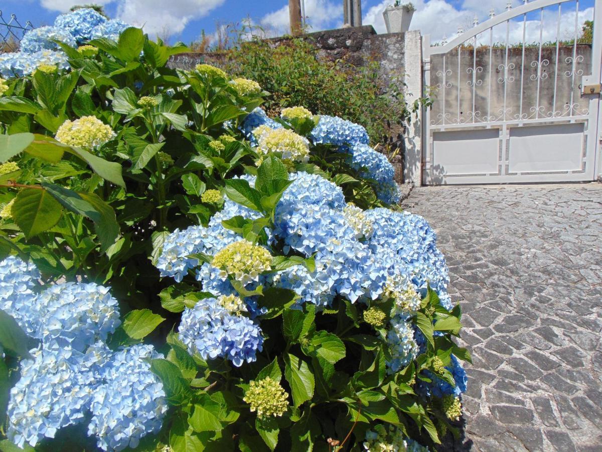 Casa Rebelo-Pet friendly Pensionat Cossourado  Eksteriør billede