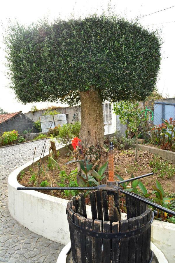 Casa Rebelo-Pet friendly Pensionat Cossourado  Eksteriør billede