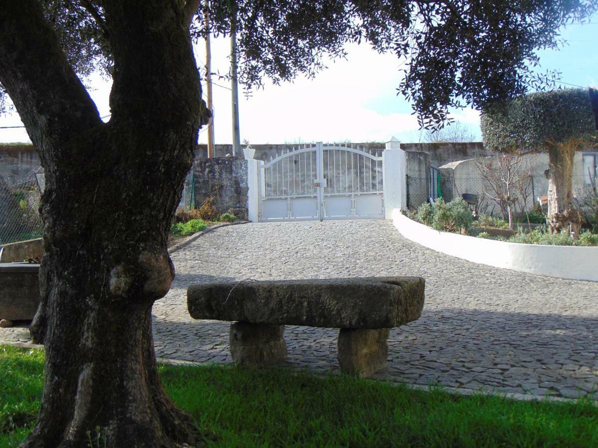 Casa Rebelo-Pet friendly Pensionat Cossourado  Eksteriør billede
